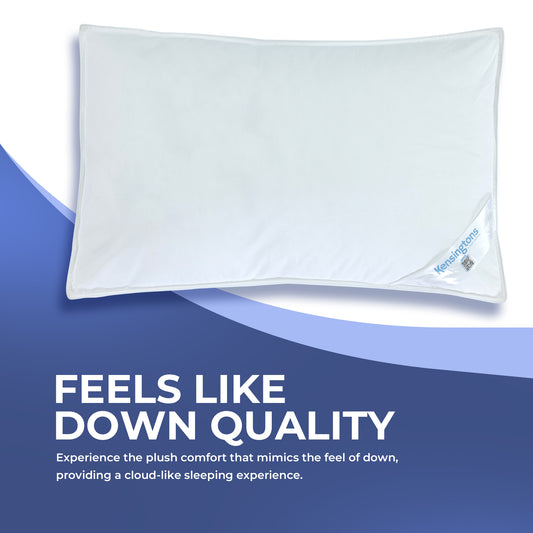 100% Mulberry Silk Box Pillow + 400 T/C Egyptian Cotton Cover