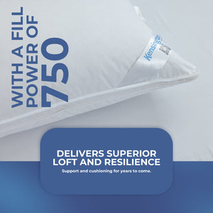 100% Austrian Goose Down Pillow