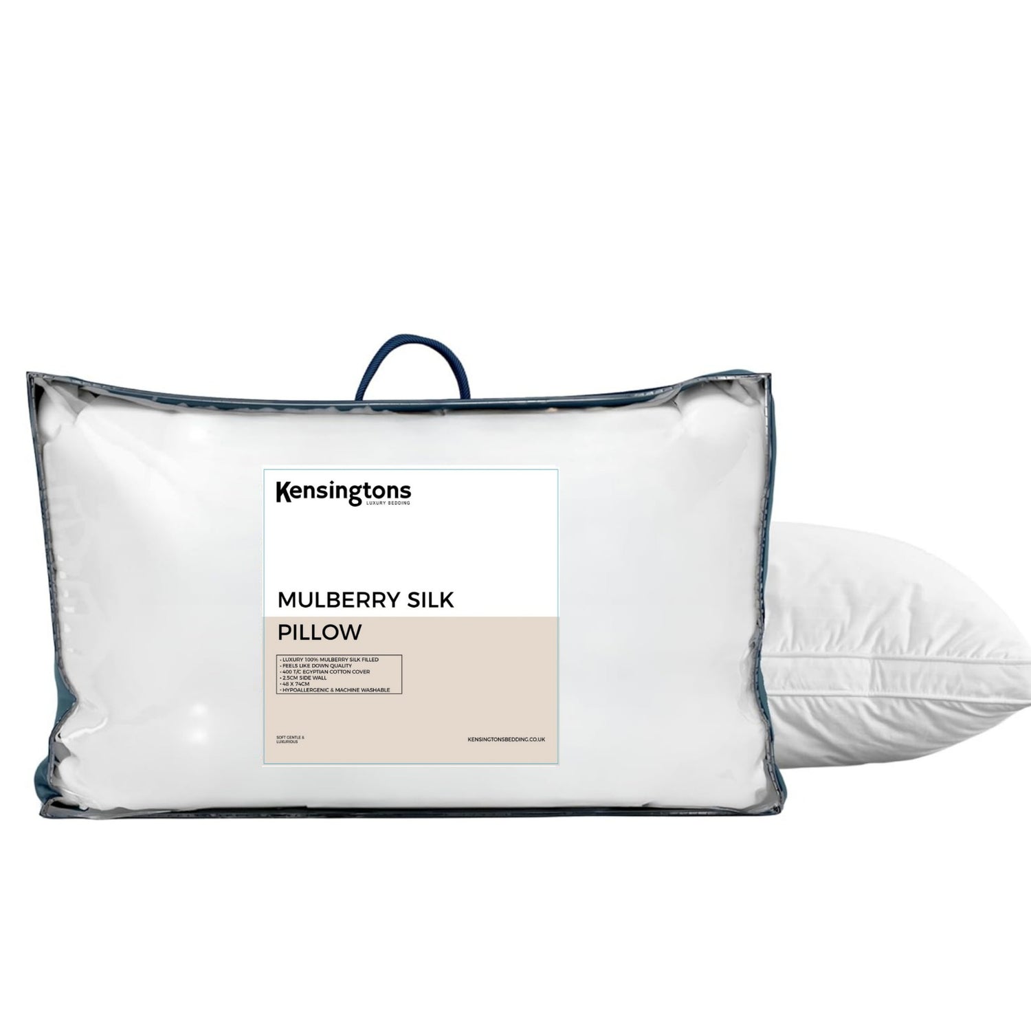 Buy Pure Silk Pillows