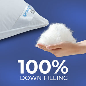 Hungarian Goose Down Pillow