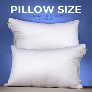 100% Pure Silk Mulberry Filled Pillows 1300G with 400 T/C Egyptian Cotton Cover