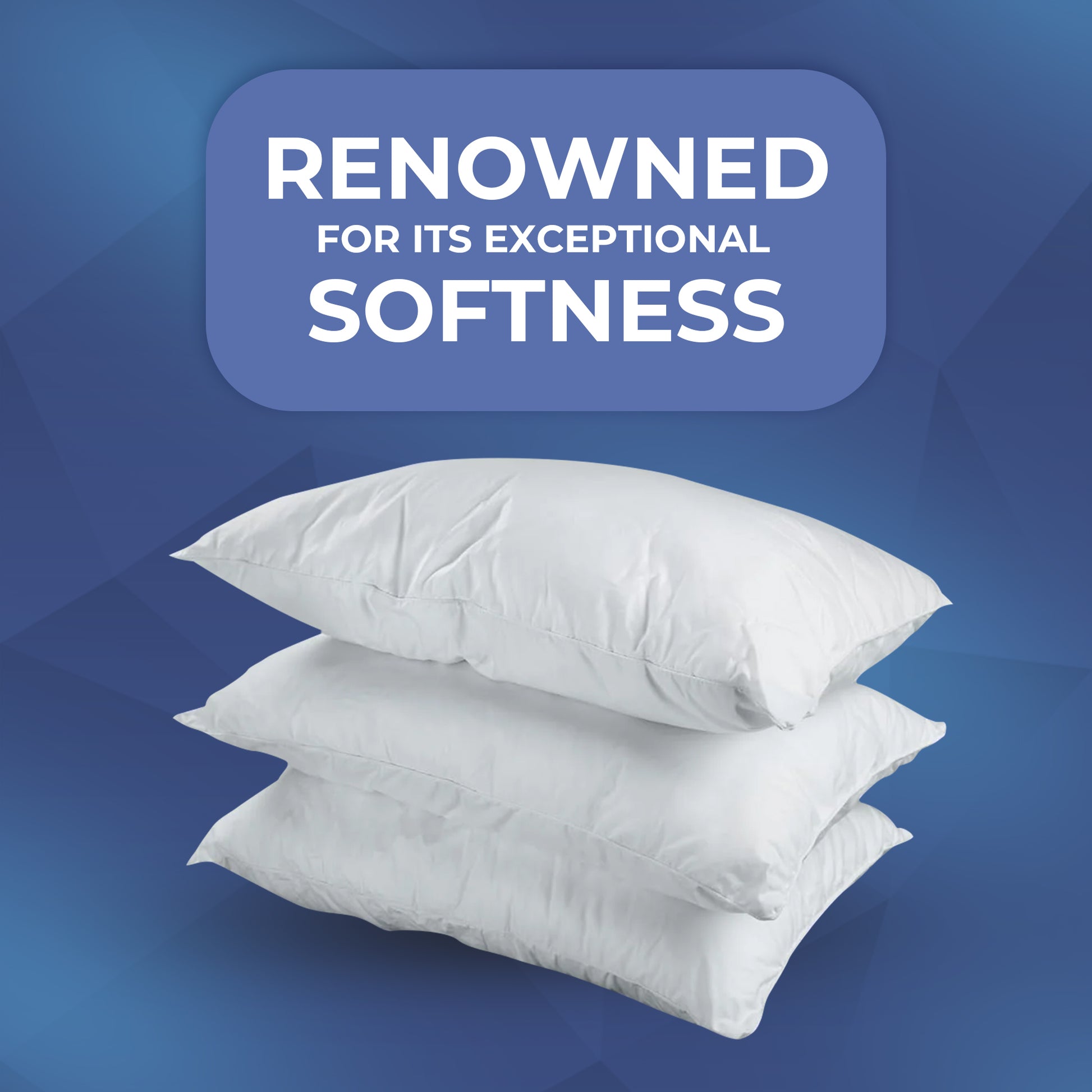 Merino Wool Filled Pillow