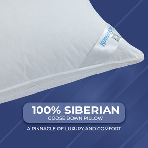Siberian Goose Down Pillow