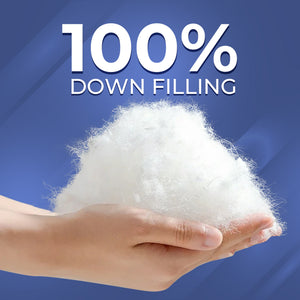 Siberian Goose Down Pillow
